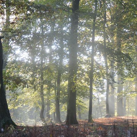 Ferienwohnung Deutschmann Dahlen Esterno foto