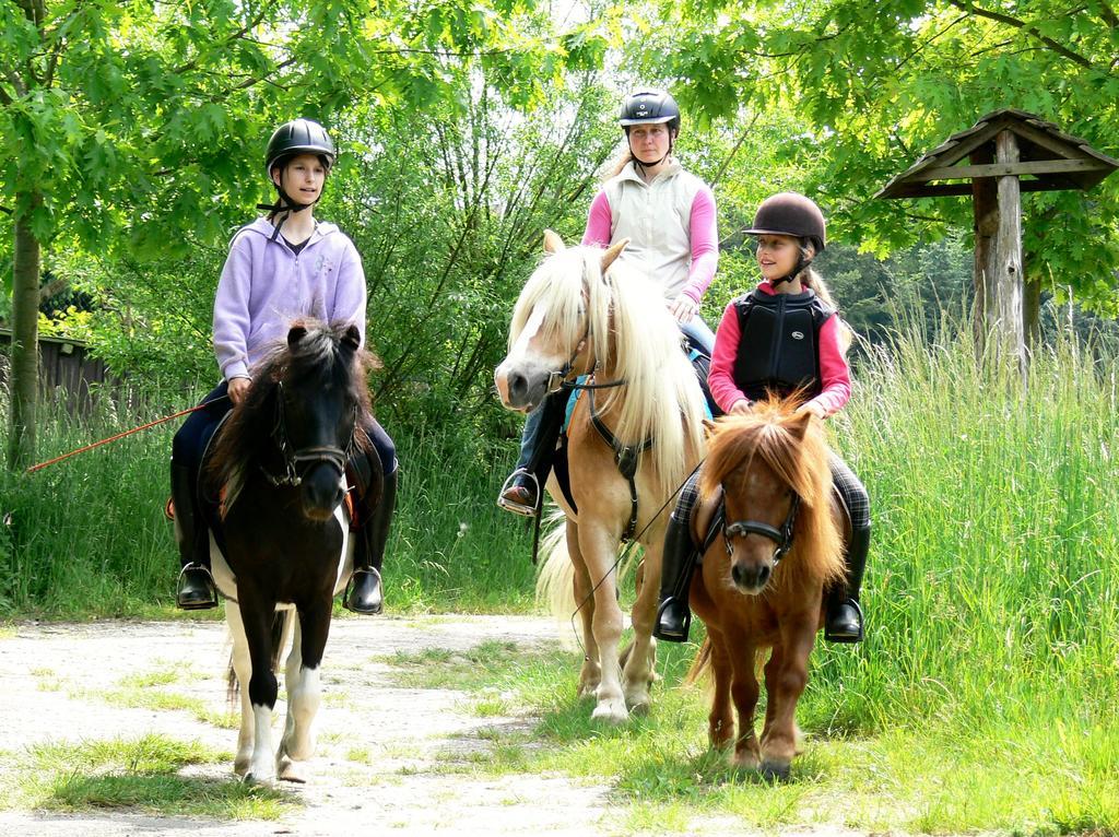 Ferienwohnung Deutschmann Dahlen Esterno foto