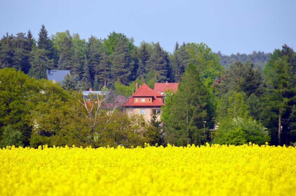 Ferienwohnung Deutschmann Dahlen Camera foto