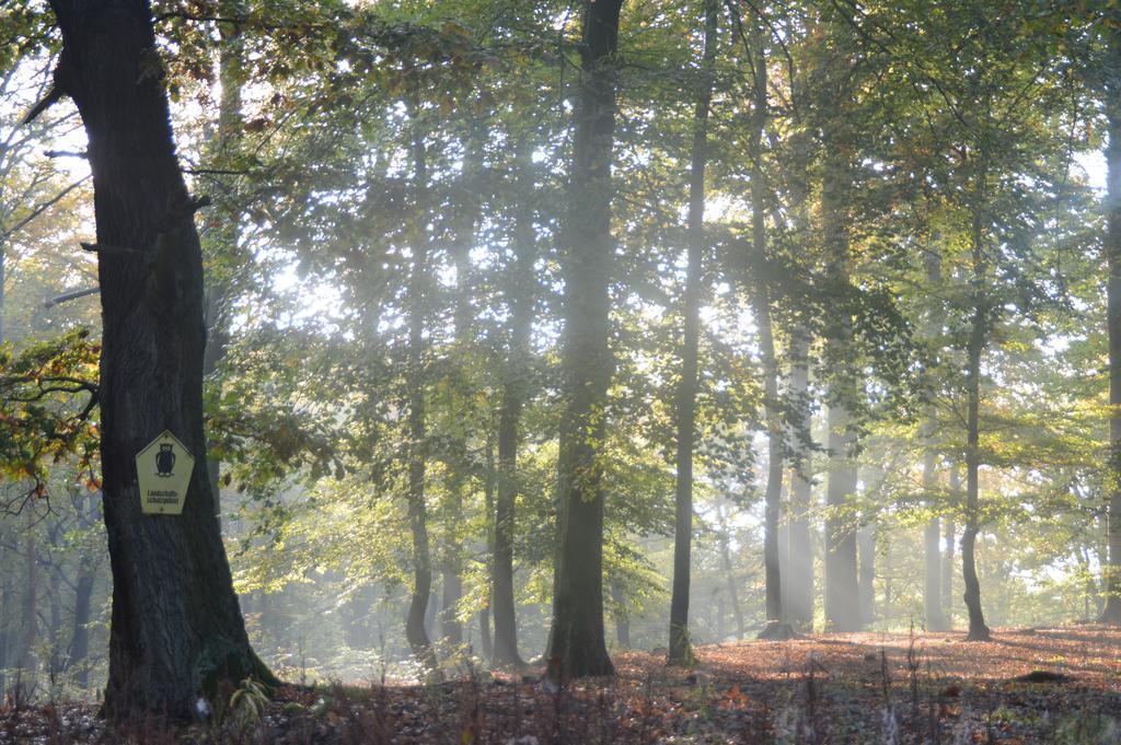 Ferienwohnung Deutschmann Dahlen Esterno foto